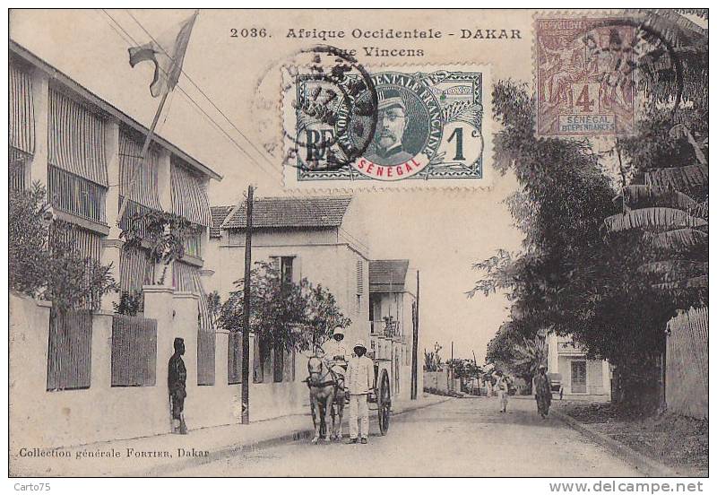 Afrique - Sénégal - Dakar - Rue Vincens - Sénégal