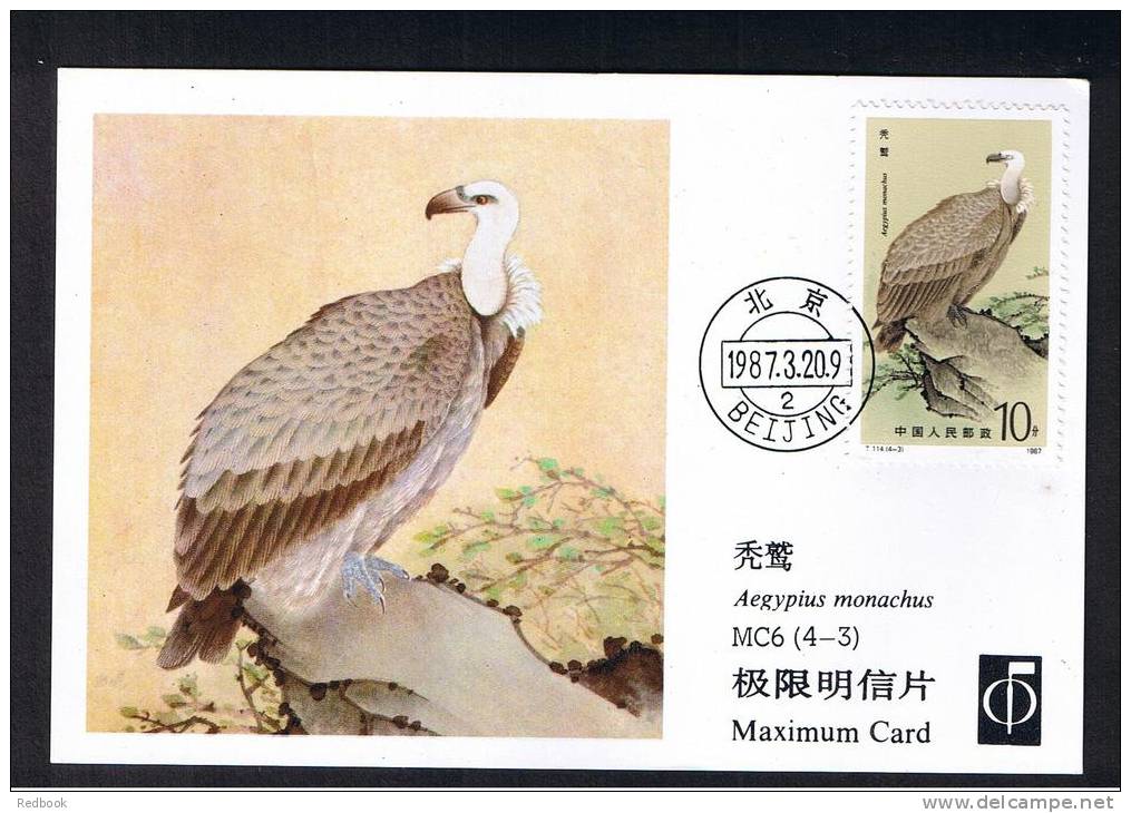 RB 888 - China 1987 Maximum Postcard - Himalayan Griffon  - Birds Animal Theme - Cartes-maximum