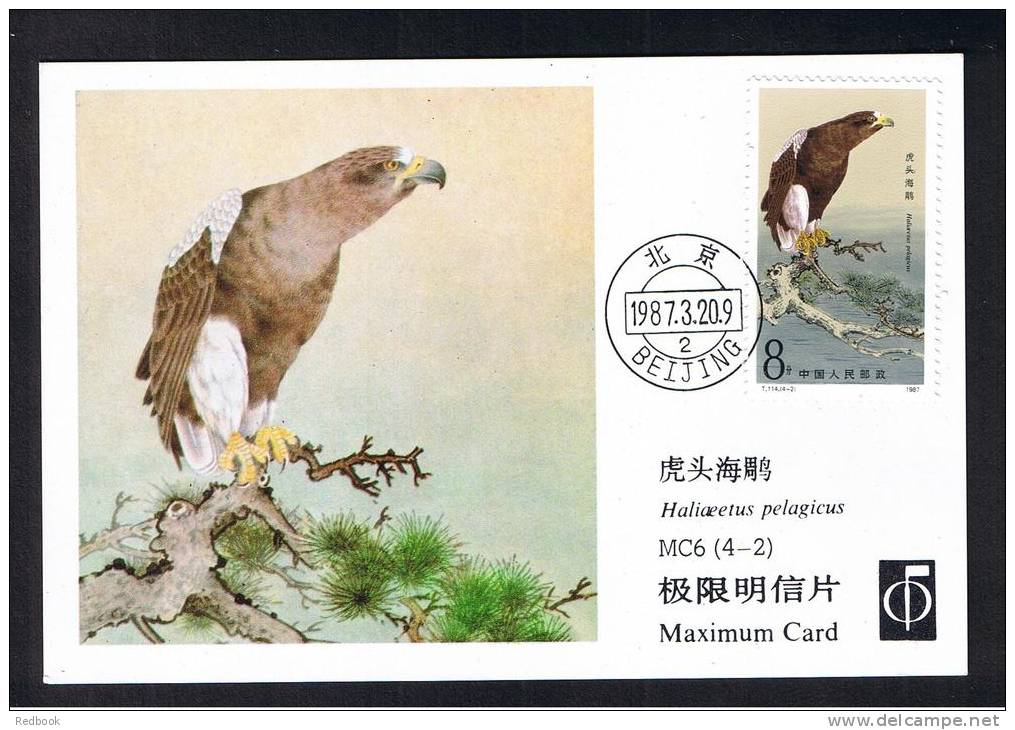 RB 888 - China 1987 Maximum Postcard - Steller's Sea Eagle  - Birds Animal Theme - Maximumkarten