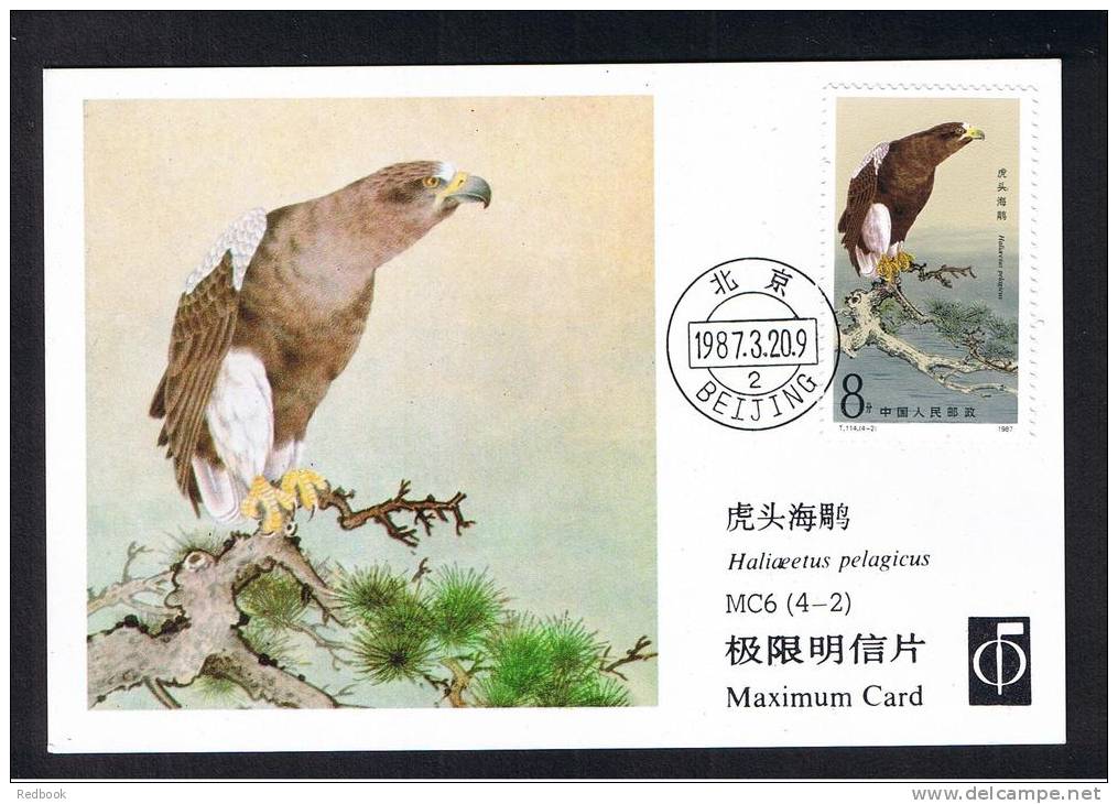 RB 888 - China 1987 Maximum Postcard - Steller's Sea Eagle  - Birds Animal Theme - Cartes-maximum