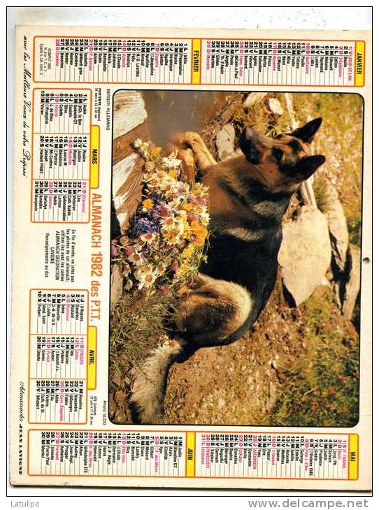 Calendrier  G-F  Du  Rhone  1982 - Big : 1981-90