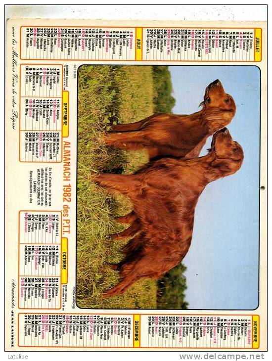 Calendrier  G-F  Du  Rhone  1982 - Groot Formaat: 1981-90