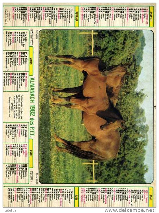 Calendrier  G-F  Des  Landes  40  De 1982 - Grand Format : 1981-90