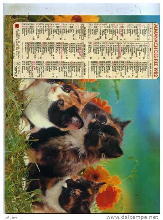 Calendrier  G-F  De La Savoie  73 - Big : 1981-90