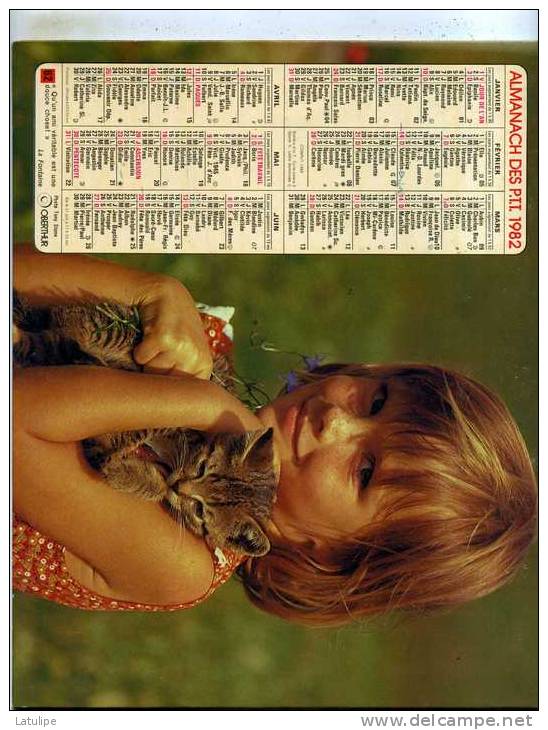 Calendrier  G-F  De La Savoie  73 - Formato Grande : 1981-90