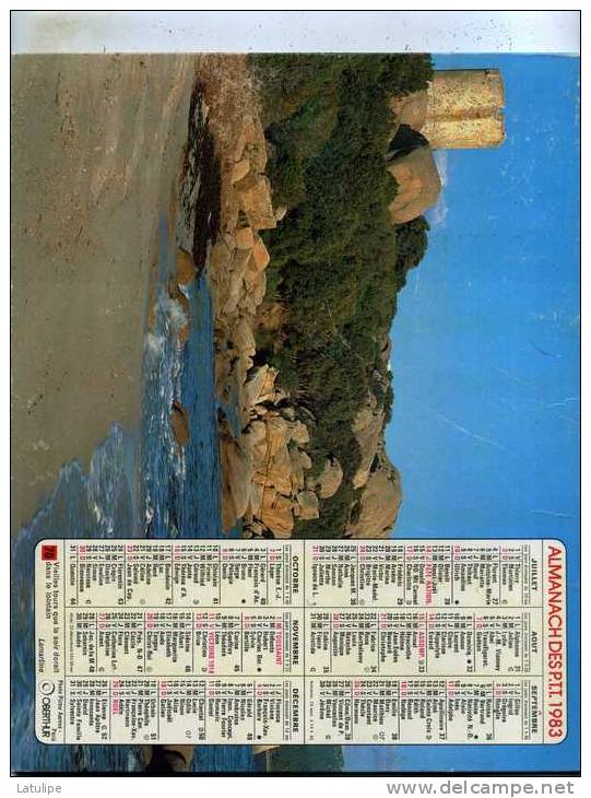 Calendrier  G-F  De La Savoie  73 De 1983 - Formato Grande : 1981-90