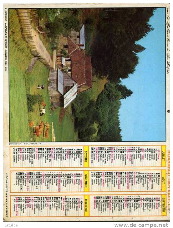 Calendrier  G-F  De  Pyrenées-Atlantique  64 De 1984 - Big : 1981-90