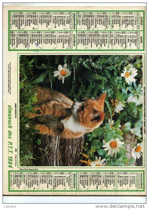 Calendrier  G-F  De  La Region Parisiene 75-78-91-92-93-94-95 De 1984 - Grand Format : 1981-90