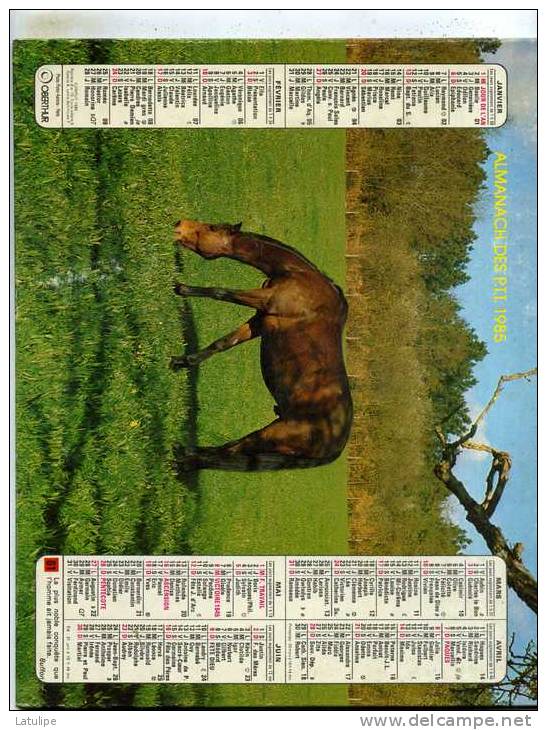 Calendrier  G-F  Des  Landes  40  De 1985 - Big : 1981-90