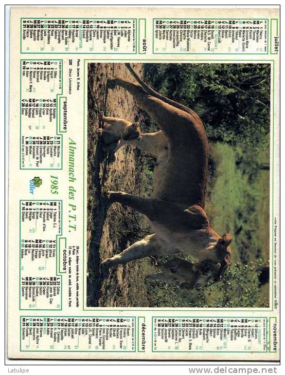 Calendrier  G-F  Des  Postes De   1985 (manque Pages Interieur) - Big : 1981-90