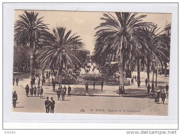 TUNISIA TUNIS   Nice Postcard - Tunisie