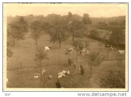 Lovendegem : Zusters Van Liefde Van J.M. Gesticht Bernadette - De Weide - Lovendegem