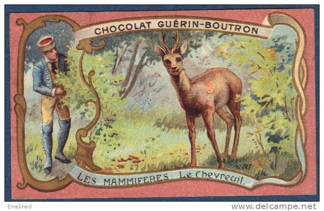 Chromo Chocolat Guerin-Boutron Les Mammifères Le Chevreuil - Guérin-Boutron