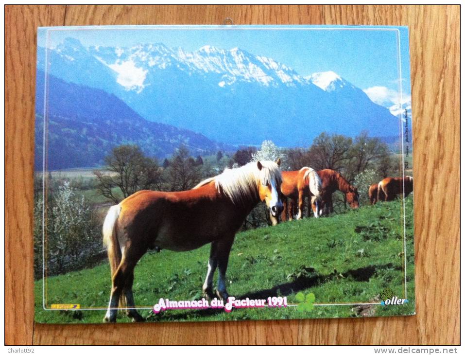 Calendrier Grand Format 1991 OLLER PARC FLEURI  CHEVAUX Photo ZEFA France Hubert TRES BON ETAT - Groot Formaat: 1991-00