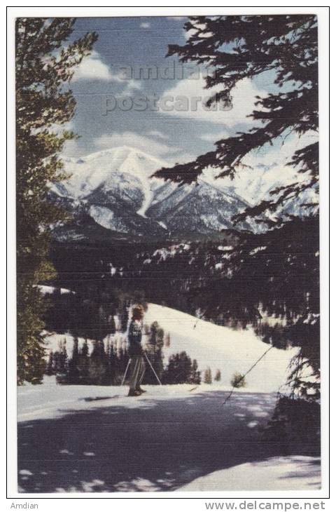 USA - SUN VALLEY IDAHO ID, WINTER SCENE - SKIER ~c1940s UNION PACIFIC RAILROAD UPC Vintage Unused Postcard  [c2838] - Otros & Sin Clasificación