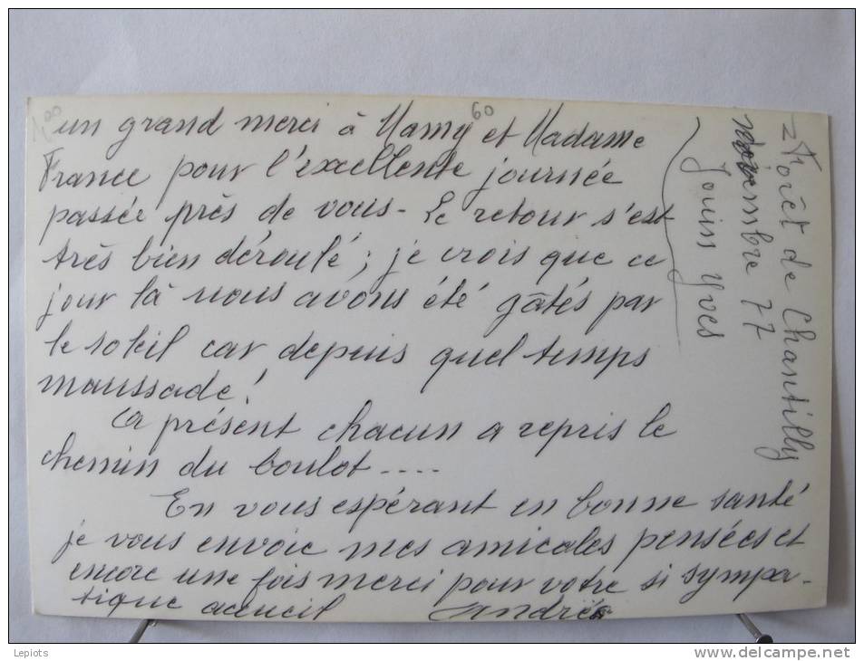 Photo D'un Chevreuil Prise à Priori En Forêt De Chantilly Dans L' Oise. Scan Recto-verso - Autres & Non Classés