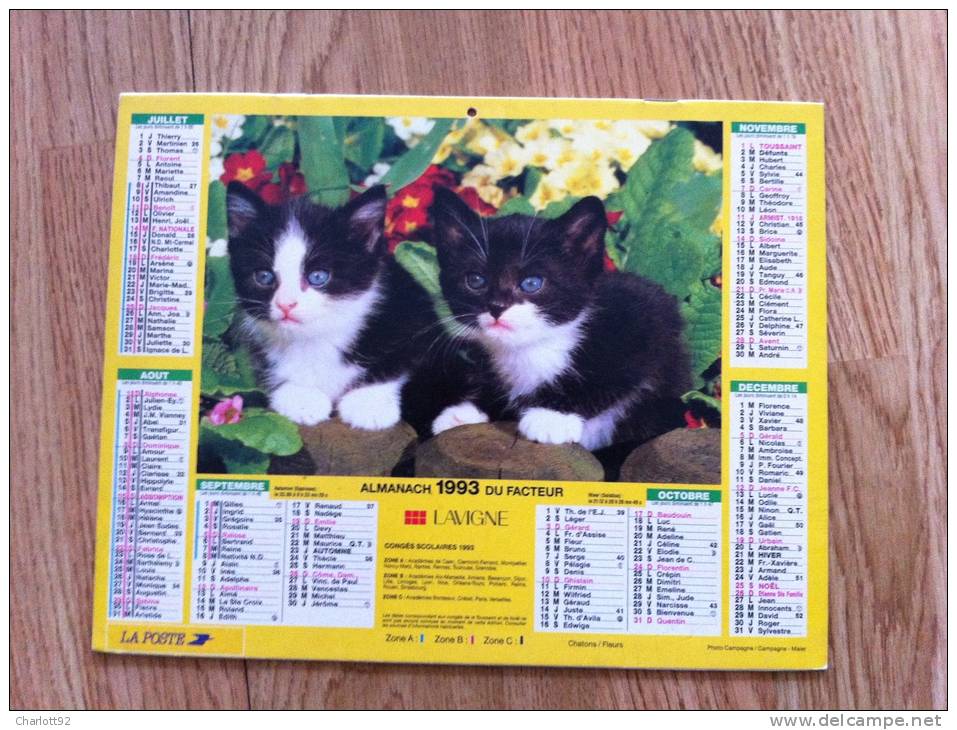 Calendrier Grand Format  1993  LAVIGNE MAISON FLEURIE CHATONS FLEURS - Groot Formaat: 1991-00