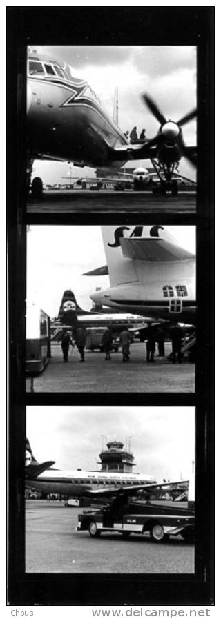 Schiphol Airport, Different Planes On The Platform (KLM, SAS) - Aviazione