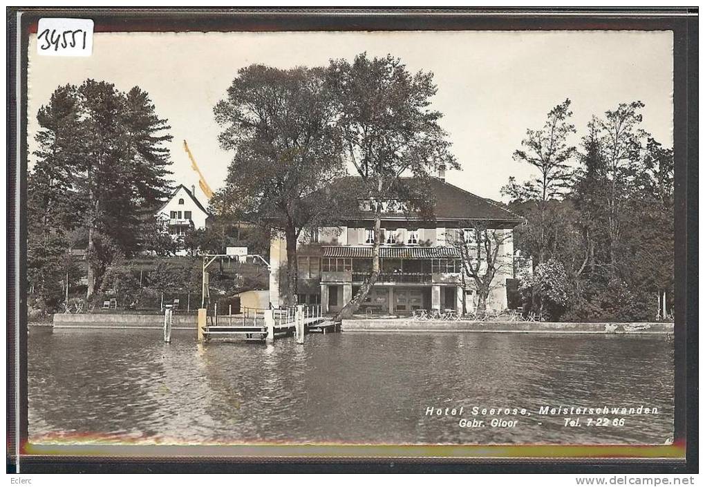 MEISTERSCHWANDEN - HOTEL SEEROSE - TB - Schwanden Bei Brienz