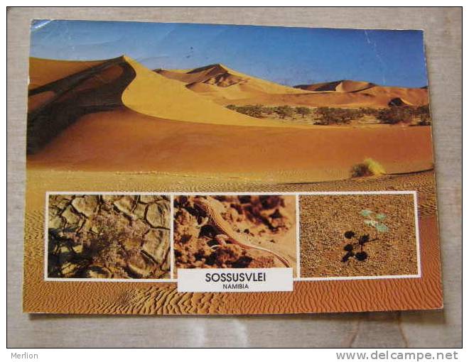 Namibia - Sossusvlei    D80101 - Namibia