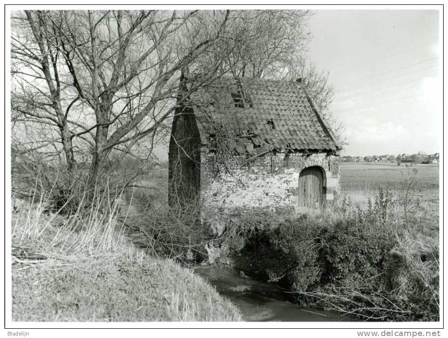 ZWEVEGEM (West-Vlaanderen) - Molen/moulin - Echte Foto 18x24 Cm. Van Het Vroegere Watermolentje Te Slijpe (maart 1995) - Other & Unclassified