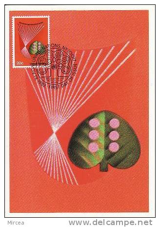 3931 - Nations Unis - Carte Maximum 1982 - Maximum Cards