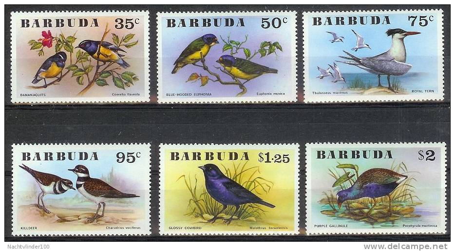 Mux077 VOGELS STERN PURPERHOEN BIRDS CALLINULE TERN KILLDEER VÖGEL AVES OISEAUX BARBUDA 1976 PF/MNH - Antigua En Barbuda (1981-...)