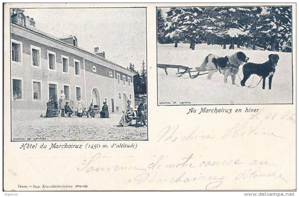 4908 - Hôtel Du Marchairuz Et Les Chiens En Hiver - Le Chenit