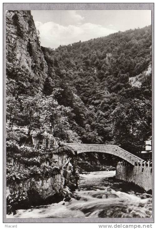 31979   Germania,   Bodetal (Harz),  Jungfernbrucke  Am  Hirschgrund,  NV - Thale