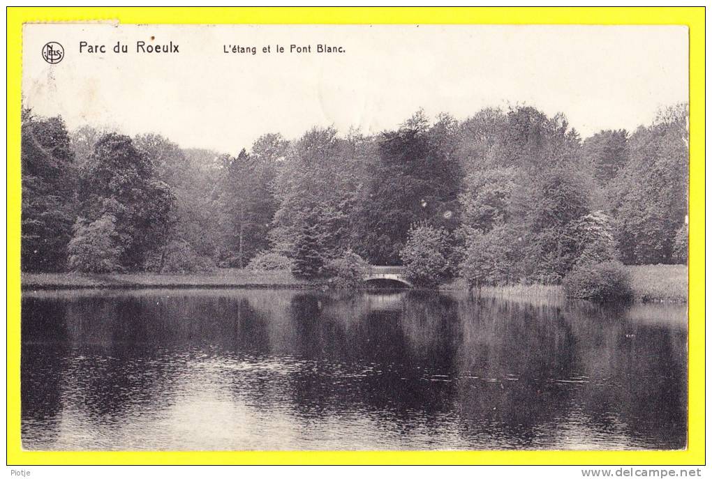 * Le Roeulx (Hainaut - La Wallonie) * (Nels, Edition J. Bouchat-Simon) Parc Du Roeulx, L'étang Et Le Pont Blanc, CPA - Le Roeulx