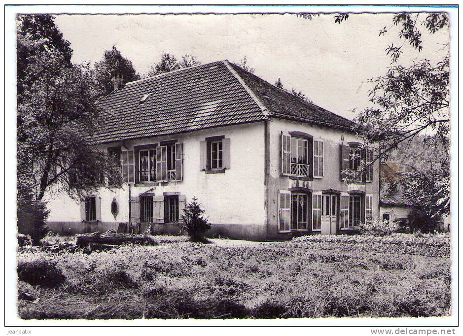 SENONES - Ferme Saint Siméon - Maison De Vacances De Lunéville - Senones