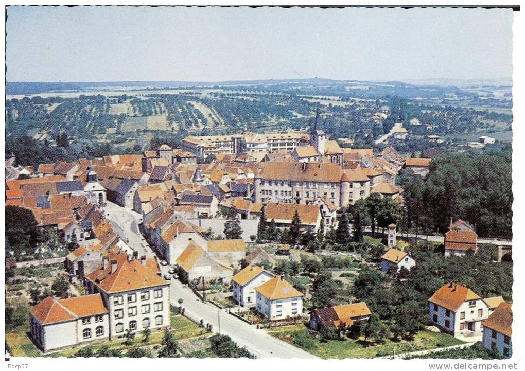 57 - Moselle - Fénétrange - Vue Générale - Dentelée  - 10,5  X  15 - Fénétrange