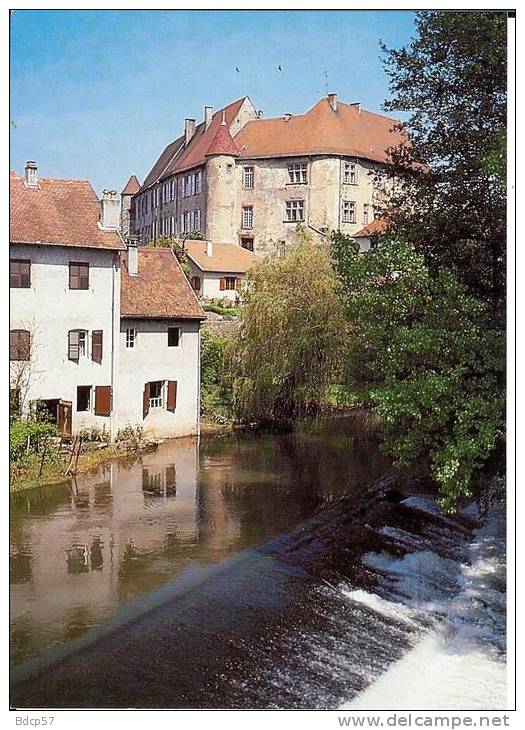 57 - Moselle - Fénétrange - Le  Château  - 10,5  X  14,8 - Fénétrange