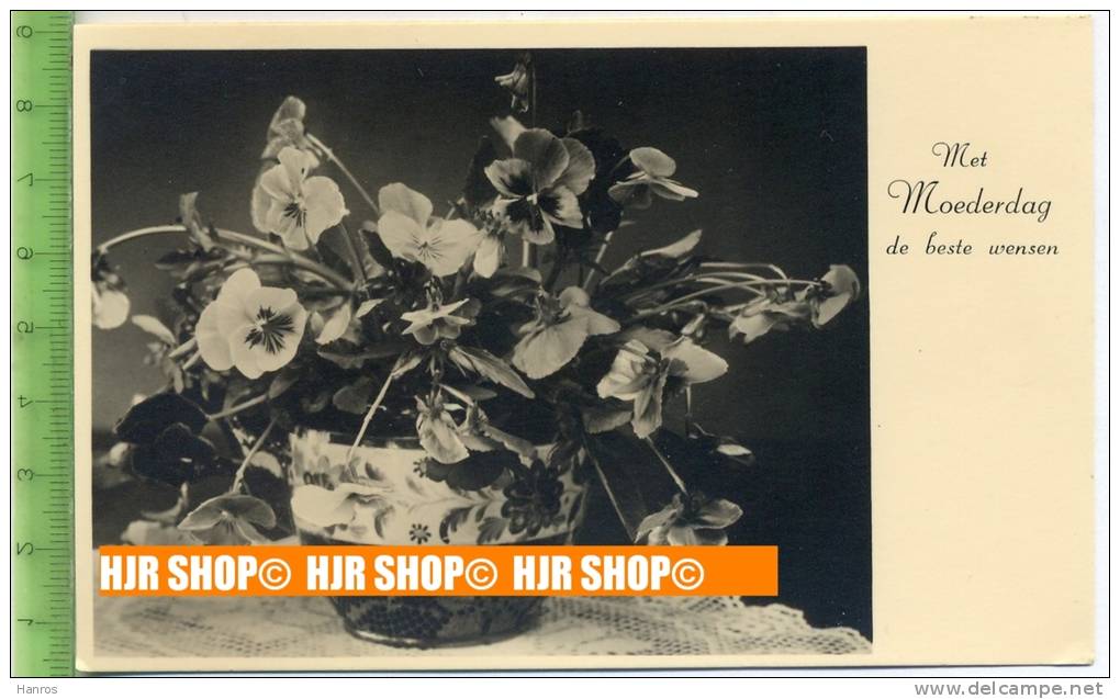 „Blumen“ Um 1950/1960, Ansichtskarte  Ungebrauchte Karte - Sonstige & Ohne Zuordnung