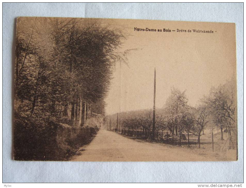 Notre-Dame Au Bois. Drève De Welriekende. - Overijse