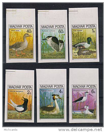 HONGRIE 1980 - Oiseaux - Serie Neuve Non Dentelee Sans Charniere (Yvert 2736/41) - Nuevos