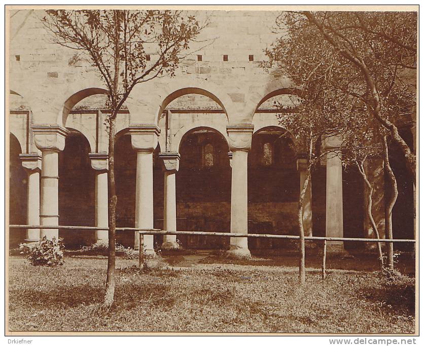 Rottenbach, OT Paulinzella, Saalfeld-Rudolstadt Thüringen, Romanische Klosterruine Langhaus V. Süden FOTO 1920, Original - Orte