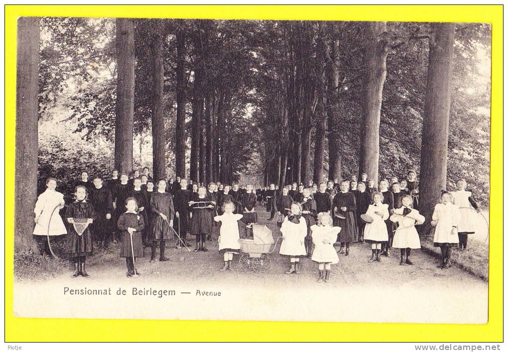 * Beirlegem - Beerlegem (Zingem - Gavere) * Pensionnat De Beirlegem, école, School, TOP CPA, Avenue, Enfants, Classe - Zingem