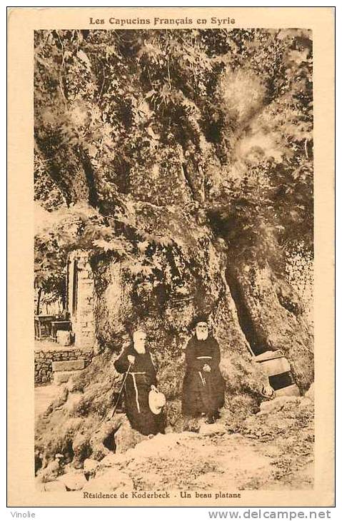 : Réf : L-12-1319  : Résidence De Koderbeck Un Beau Platane (arbre Remarquable) - Syrie