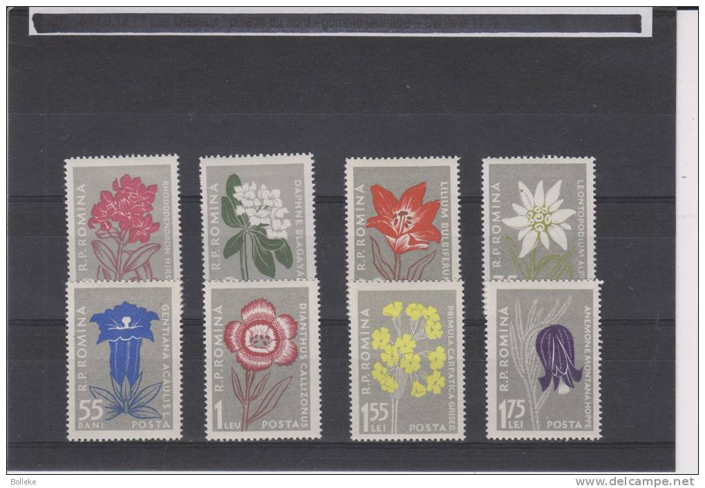 Fleurs - Roumanie - Yvert 1517 / 24  * - MH - Valeur 26,50 - Neufs