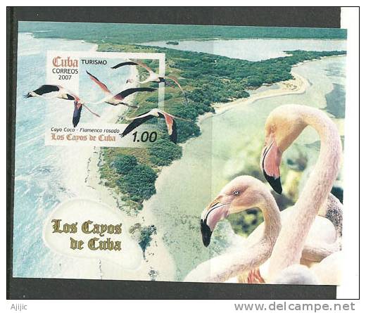 CUBA. Les Flamants Roses Des Cayo Coco.  Un BF Neuf ** - Flamingos