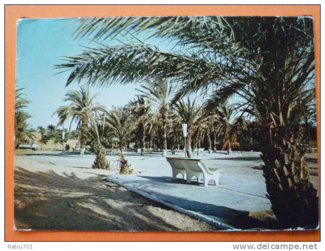 E1-Algerie--tindouf--les Jardins--algeria Tindouf-the Gardens--beau Timbre - Autres & Non Classés