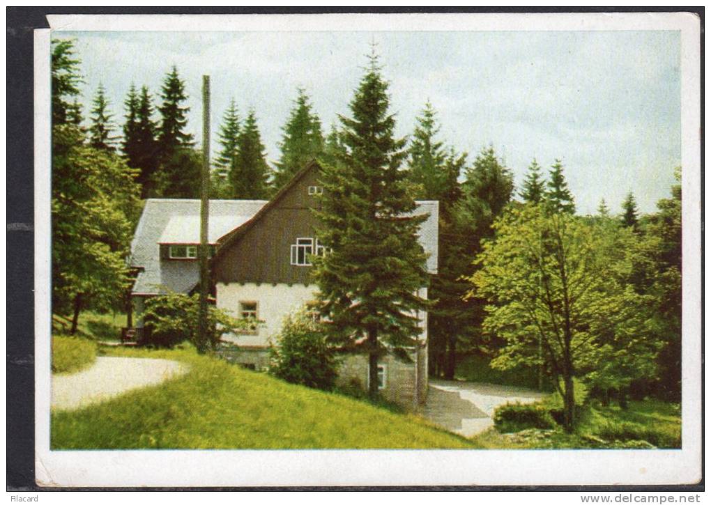 31986    Germania,    Kurort  Barenfels  Im  Osterzgebirge,  VG  1958 - Altenberg