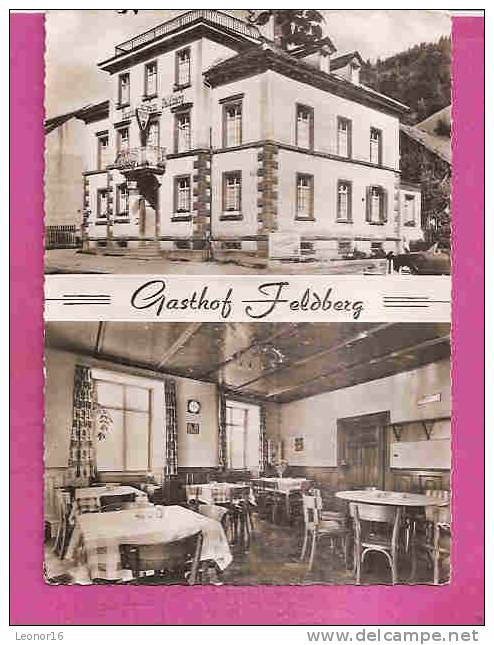 TODTNAU   -    * GASTHOF FELDBERG * Inh. Oskar GANTERT  - Verlag : Heinrich MUSCHELKNAUTZ  Nr 523 - Todtnau