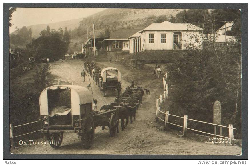 NAMIBIA  , SOUTH WEST AFRICA  , TSUMEB  TO  SWEDEN   1927 , OLD POSTCARD  OX TRANSPORT - Namibia