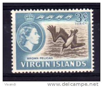 British Virgin Islands - 1964 - 3 Cents Definitive/Brown Pelican - MH - Iles Vièrges Britanniques