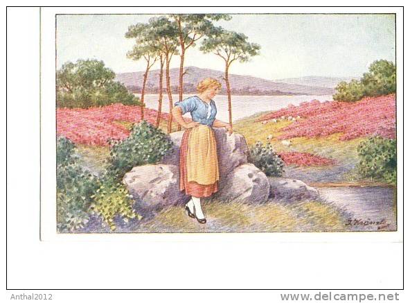 Frau In Der Natur J. Kränzle Rückseite Briefmarke Helft Den Südtirolern Um 1910 - Kränzle