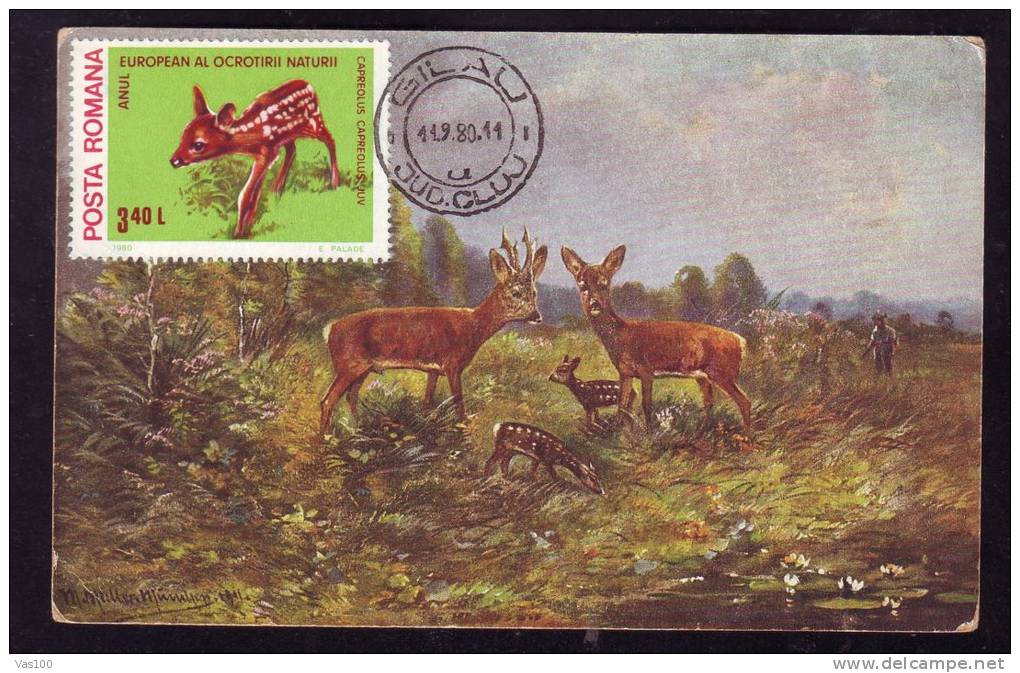 DEER,1980,CM,MAXI CARD,CARTES MAXIMUM,OLD POSTCARD,ROMANIA - Gibier