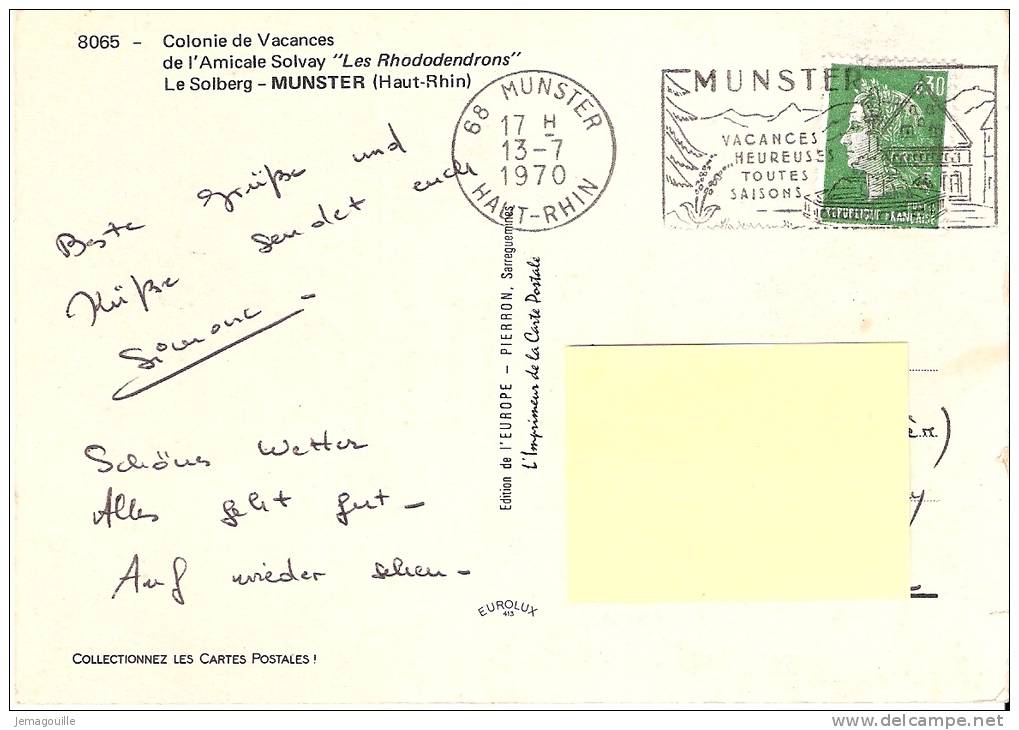 MUNSTER 68 - Le Solberg - Colonie De Vacances De L´Amicale Solvay - Les Rhododendrons - 13.7.1970 - T-2 - Kreis Merzig-Wadern
