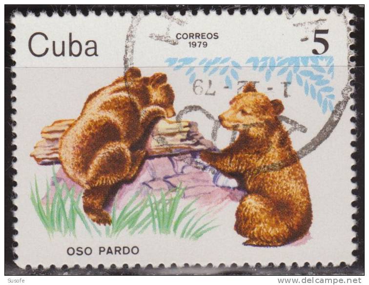 Cuba 1979 Scott 2295 Sello * Fauna Animales De Zoo Oso Pardo Brown Bear (Ursus Arctos) Michel 2443 Yvert 2160 Stamps - Nuovi